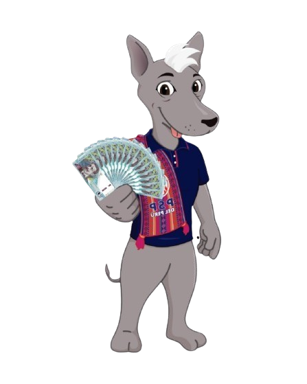 WhatsApp_Image_2024-12-18_at_4.53.09_PM-removebg-preview